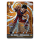 Dragon Ball Card Game Fusion World Starter Deck EX The Phase of Evolution (FS11) &ndash; Englisch