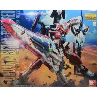 MG Gundam Astray Turn Red 1/100 (MBF-02VV) - Limited