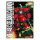 Gunpla MG 1/100: Gelgoog Cannon &ndash; Model-Kit &ndash; Sealed / Neu